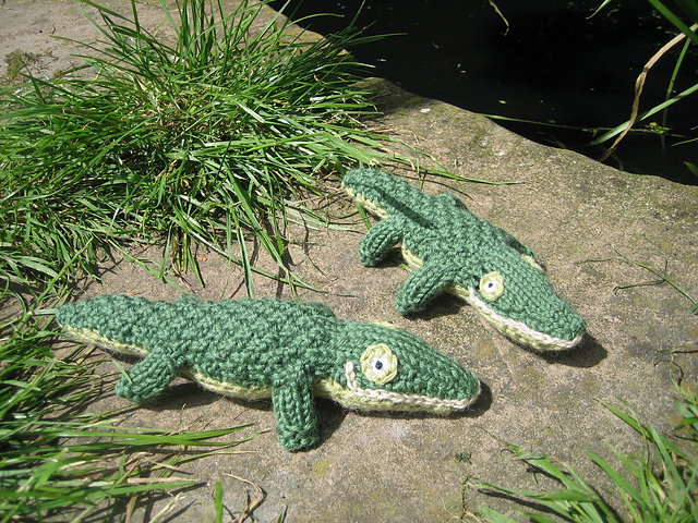 crocodiles