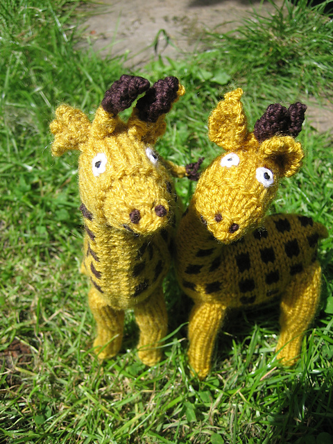 giraffes