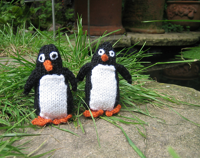 penguins