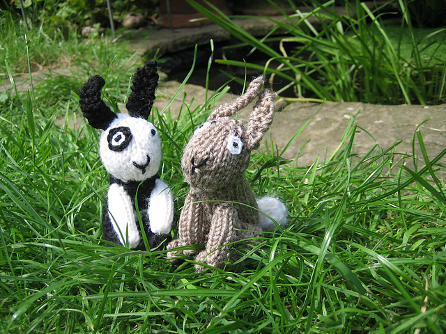 rabbits