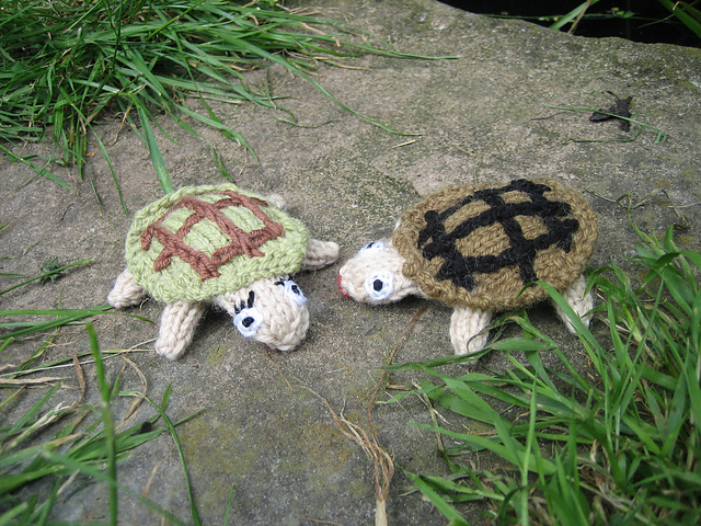 tortoises