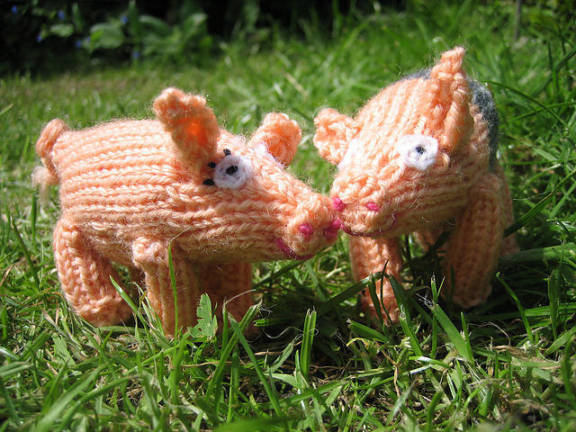 pigs