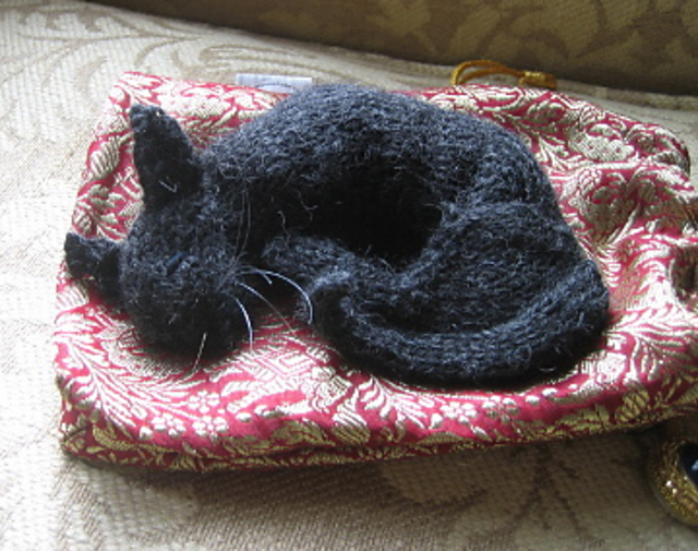 British Shorthair Curled Up