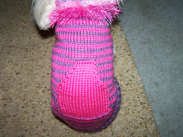Varsity Dog Sweater
