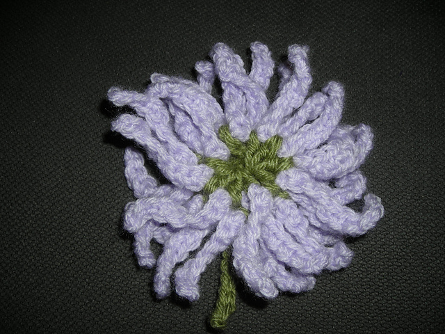 Michaelmas Daisy