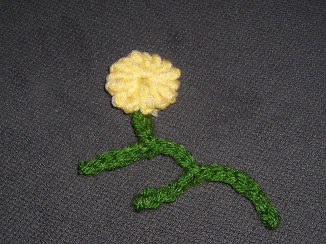 Santolina