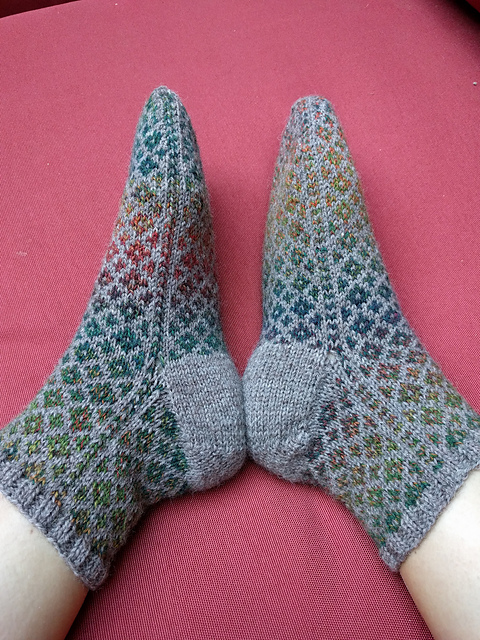 Clover Fields Toe Up Socks