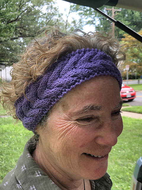 Grasshoppers Headband