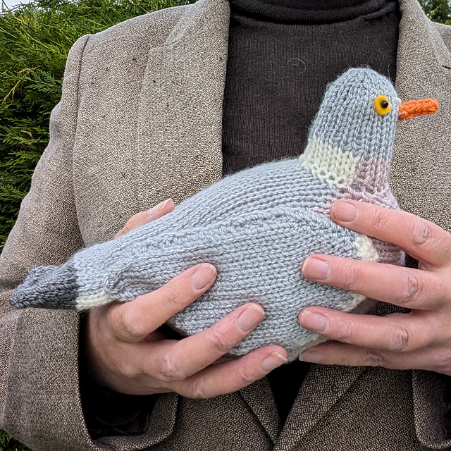 Big Liam the Wood Pigeon