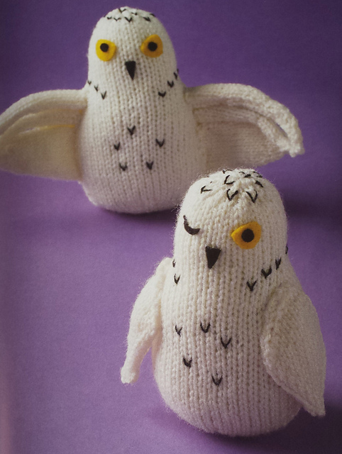 Snowy Owls bird