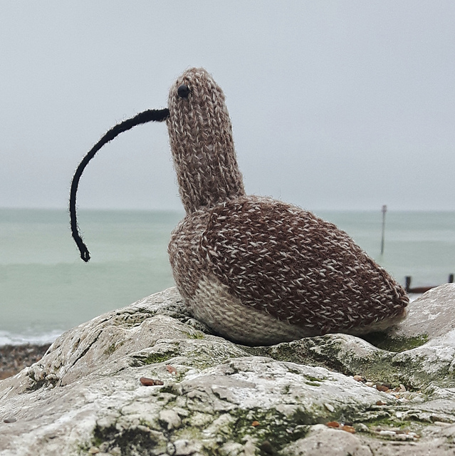 Wendy the Shetland Curlew
