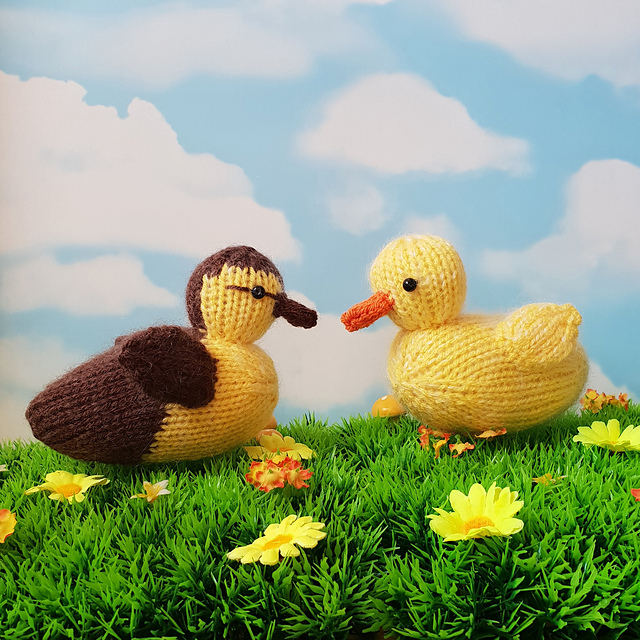 Fred and Harvey the ducklings