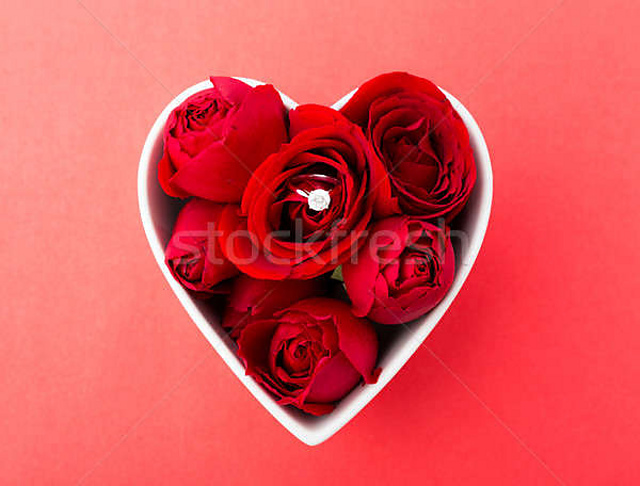 Diamond and Flowers Valentine Hap KAL