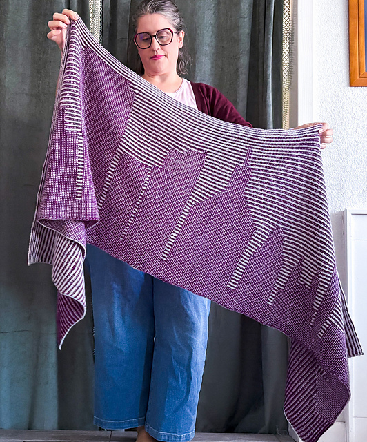 Shawl With A View: Baltimore