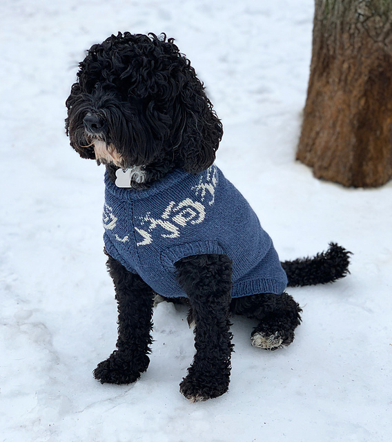 Year of the Dog Custom Fit Dog Pullover