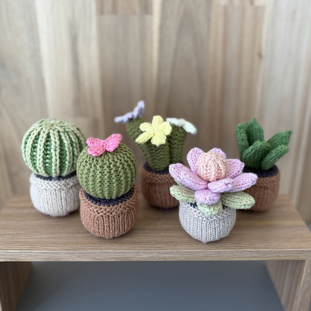 Knit Cactus