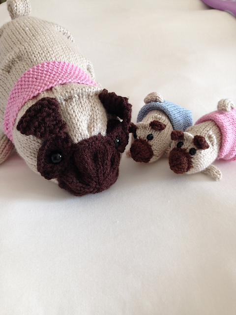 Poppy Pug and Puppies