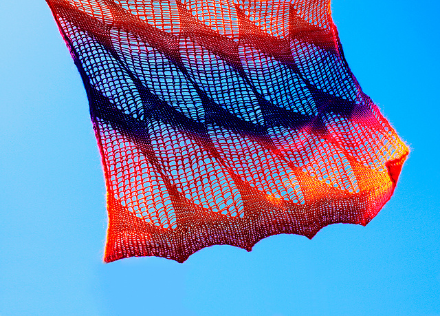 Camino Leaves