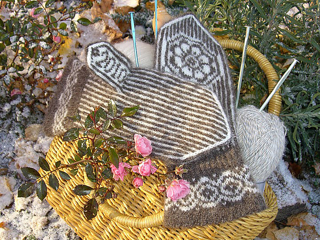Stripes and Roses/Roser og Striper