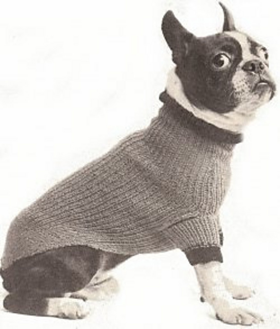 Dog Sweater