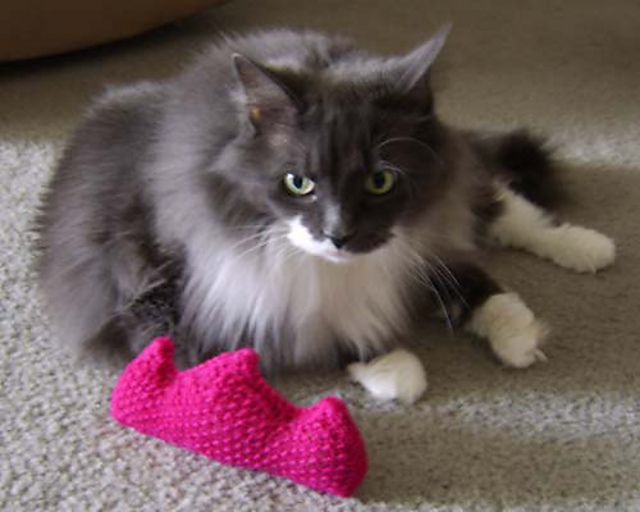 Tiara Cat Toy