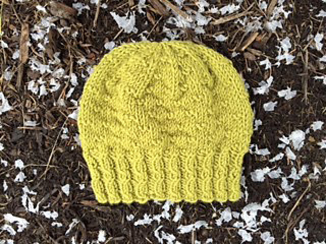 Unleashed Hat