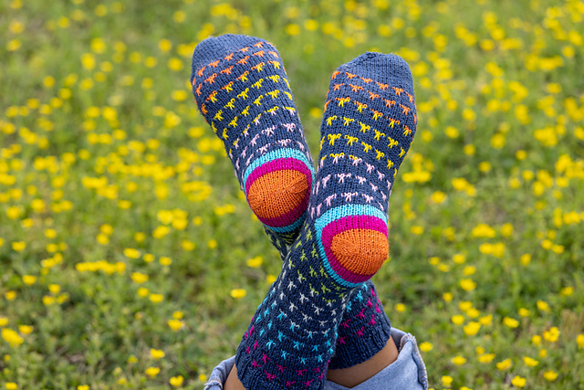 Funfetti Socks