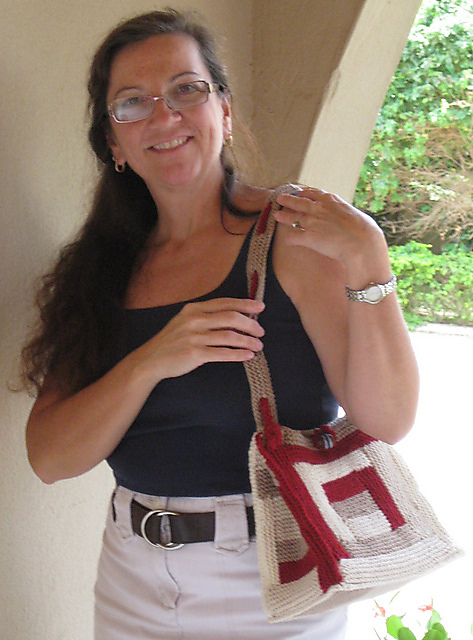 Color Block Purse