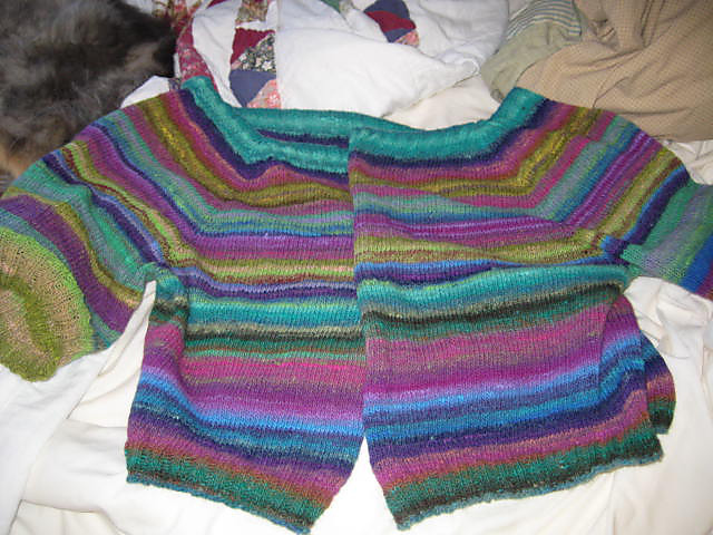 All-in-One-Piece-from-the-Neck-Down Pullover