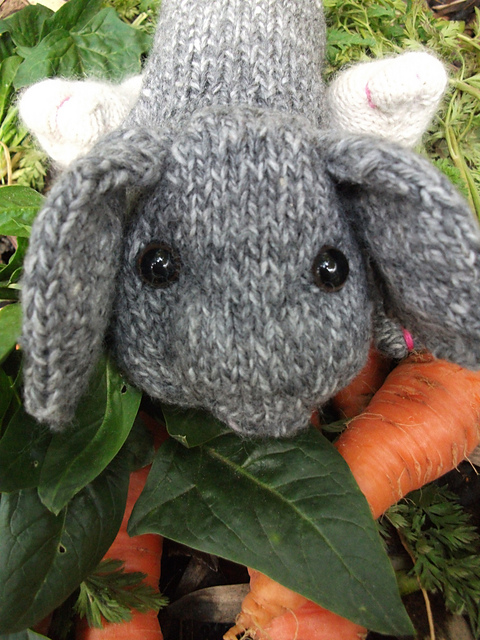mittens & socks, lop-eared rabbits