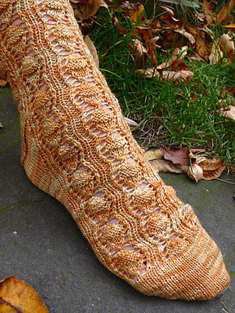 Acorn Stash Sock
