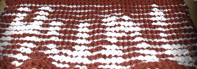 Hunt illusion/shadow Dish cloth