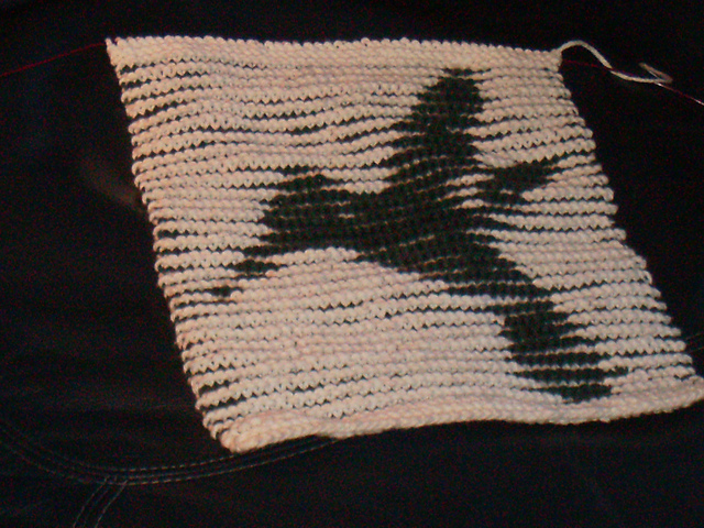 hummingbird illusion/shadow dish cloth