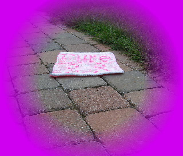 Cure illusion/shadow dish cloth