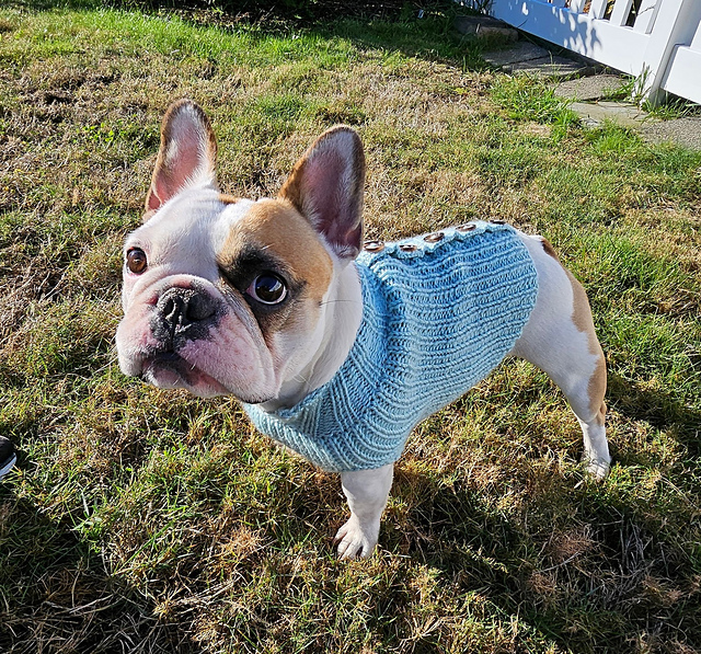Ravelry: P08 Frenchie Sweater pattern by Brandie Knaggs