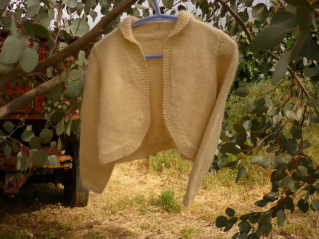 Alpaca Bolero