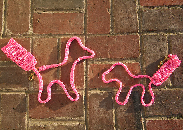 Big Dog/Little Dog Leash