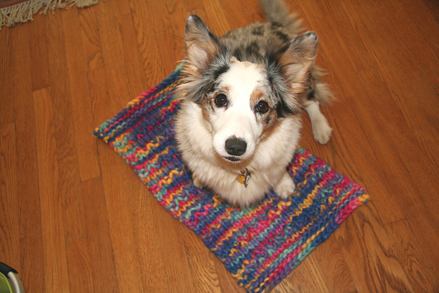 Cozy Pet Blanket