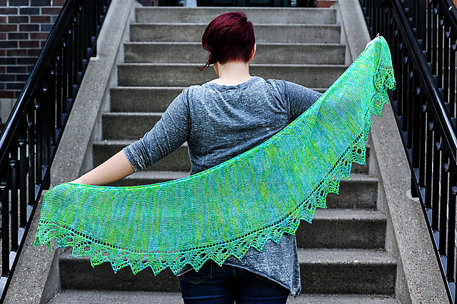 Mystery Machine Shawl