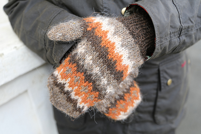 Uncle Bernie's Mittens