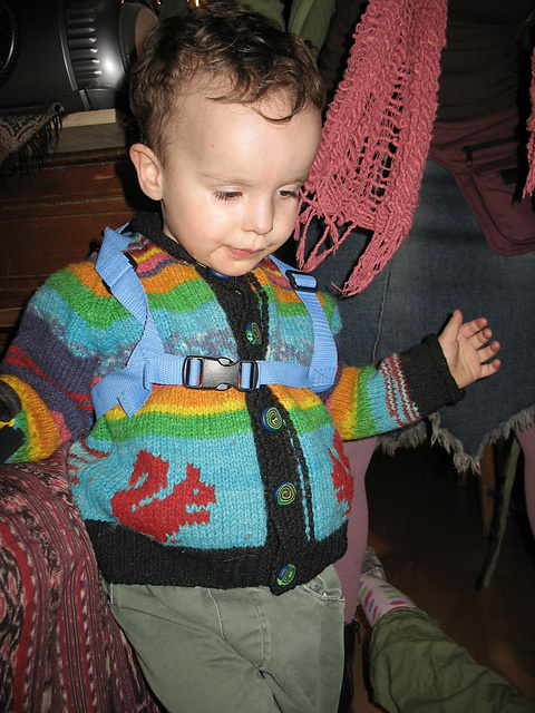 Moss Bordered Cardigans