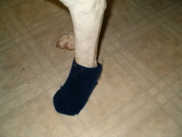Felted Mittens for my doggie