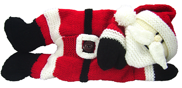 Santa Pyjama Case