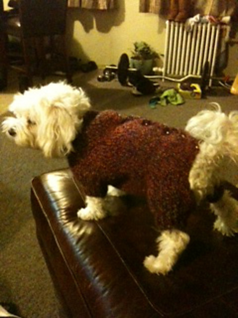 Sassy Snuggle Suit