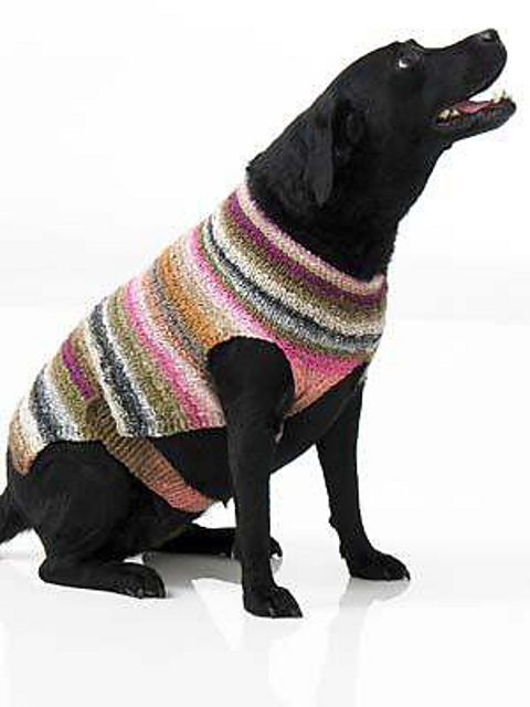 Design 23 Dog's Coat