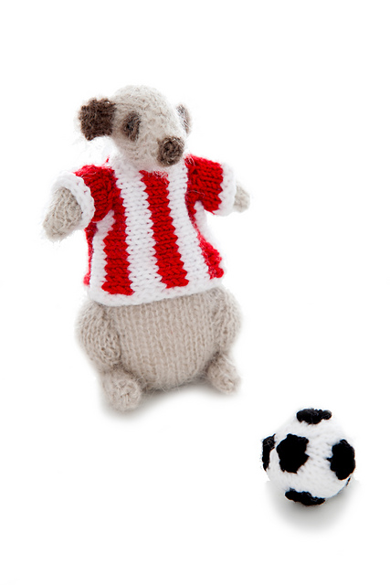 Soccer Meerkat