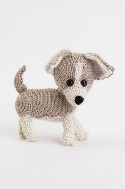 Chic Chihuahua