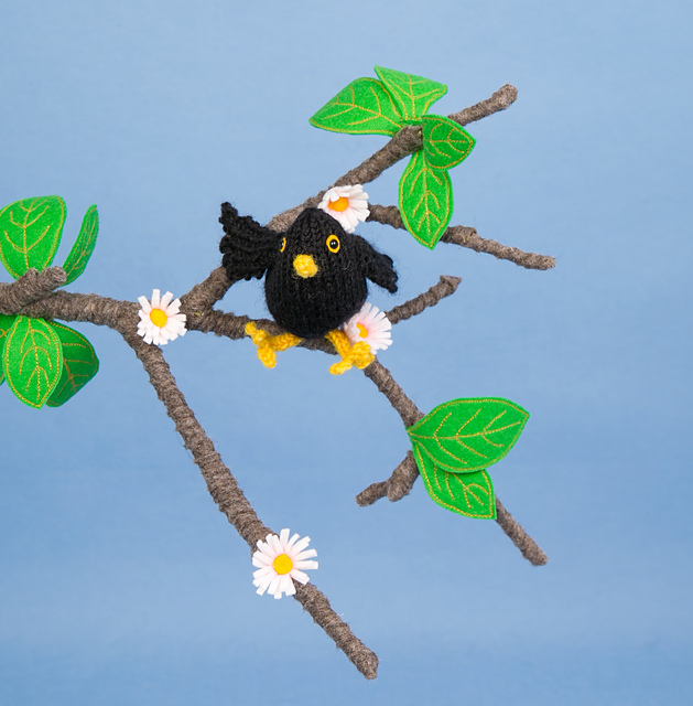 Blackbird