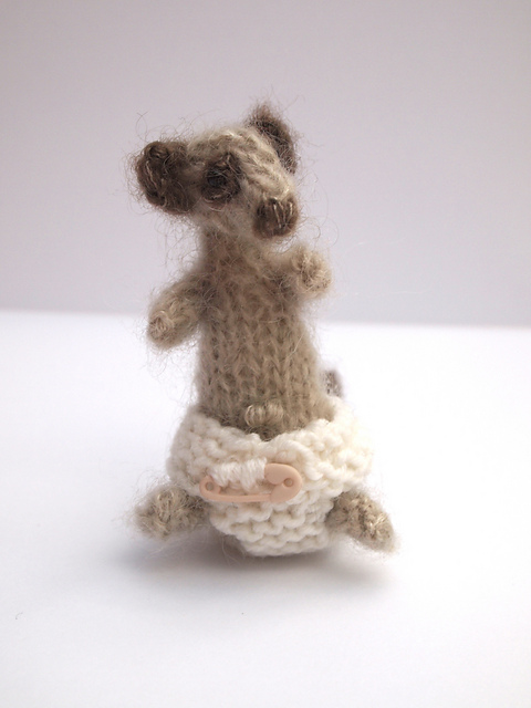 Baby Meerkat
