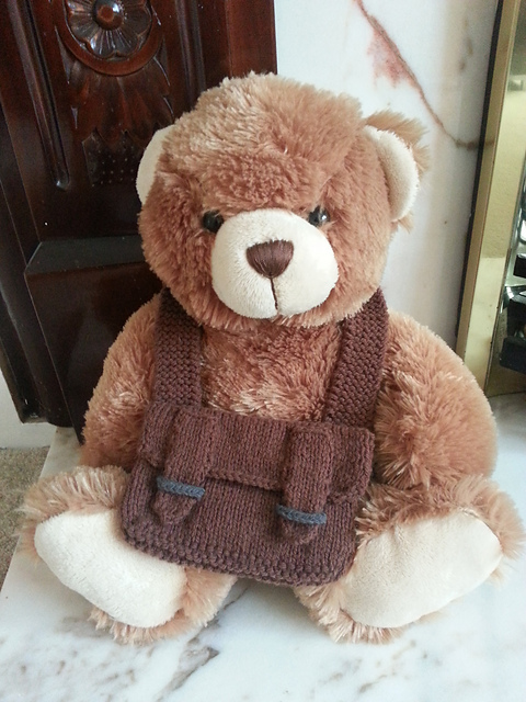Teddy Bear Satchel